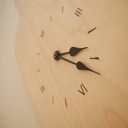 Bonusaparts Debowa Grobla *